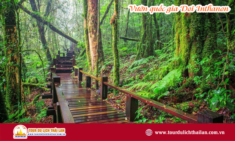 Vườn quốc gia Doi Inthanon 