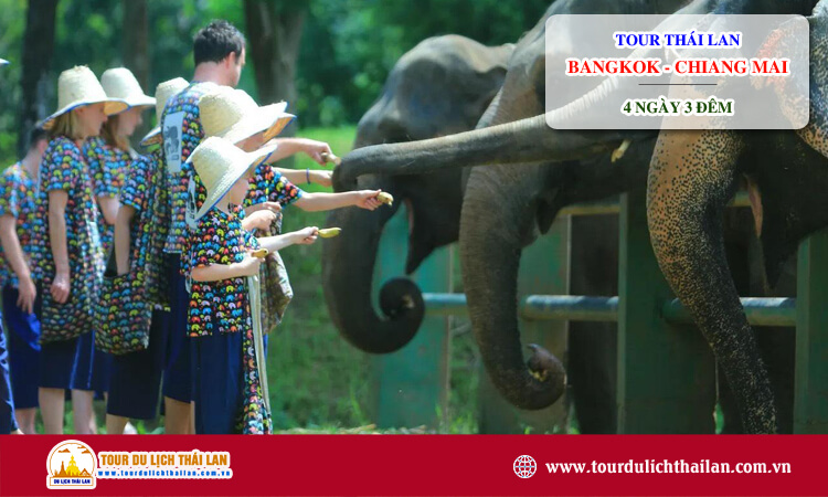 Tour du lịch Thái Lan Bangkok - Chiang Mai 4 ngày 3 đêm 